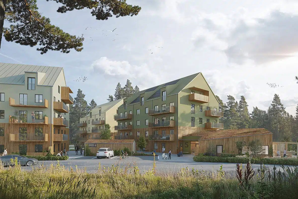 Visionsbild av skogsgläntan.